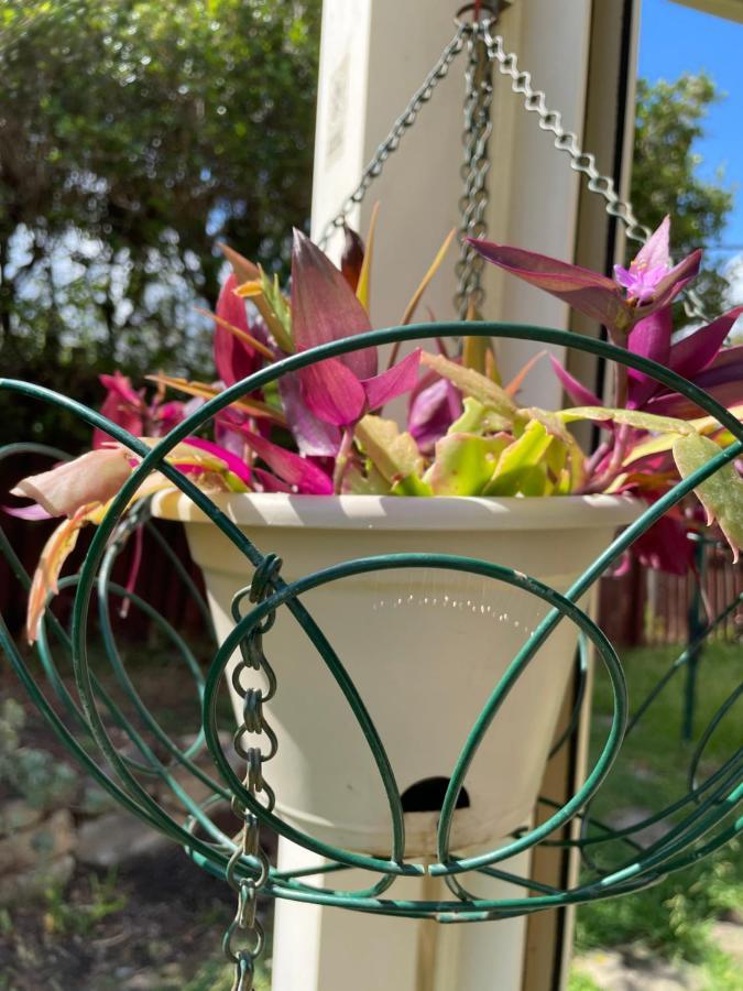 Theme Parks Amituofo Homestay Gold Coast Extérieur photo