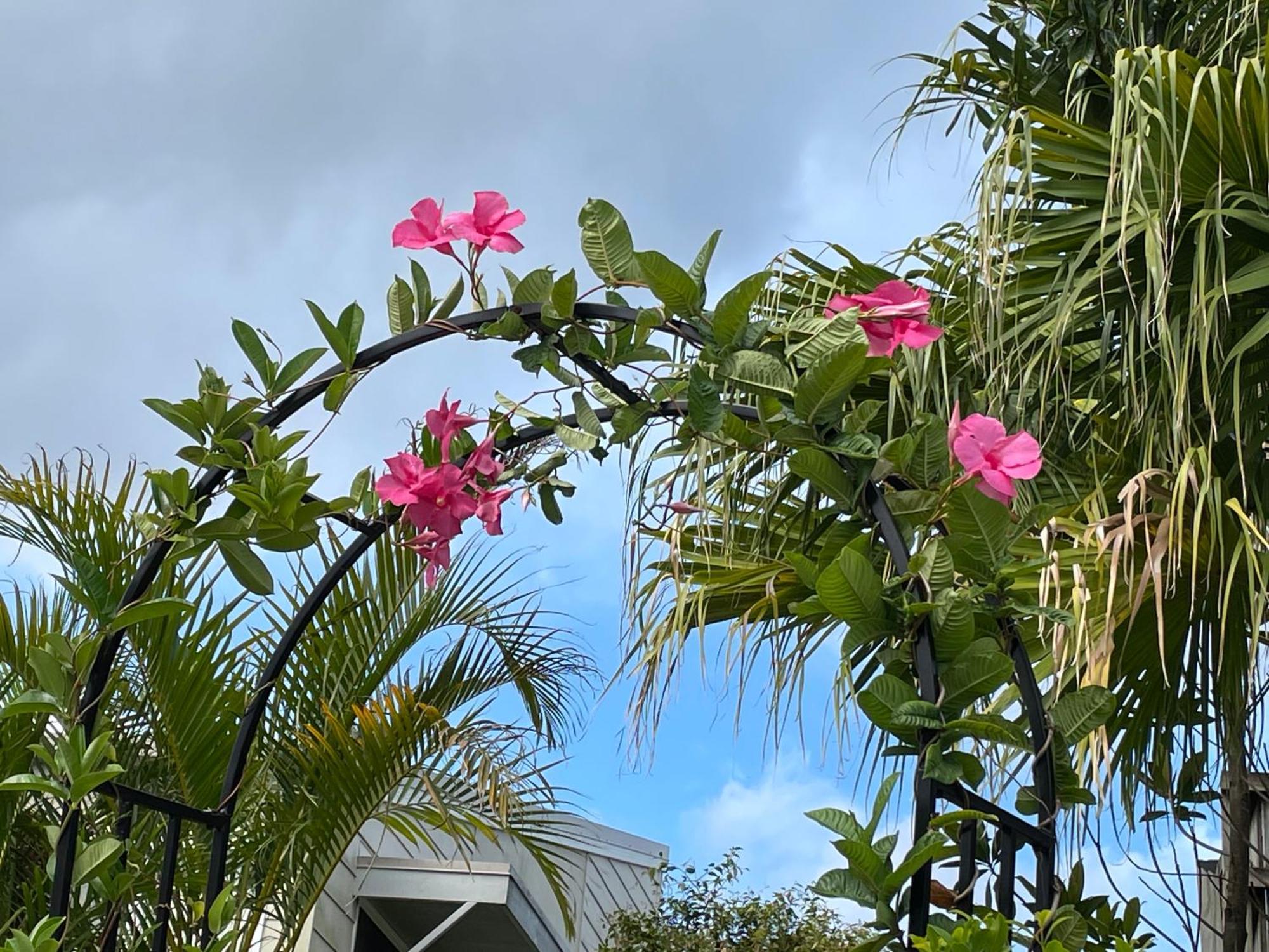 Theme Parks Amituofo Homestay Gold Coast Extérieur photo