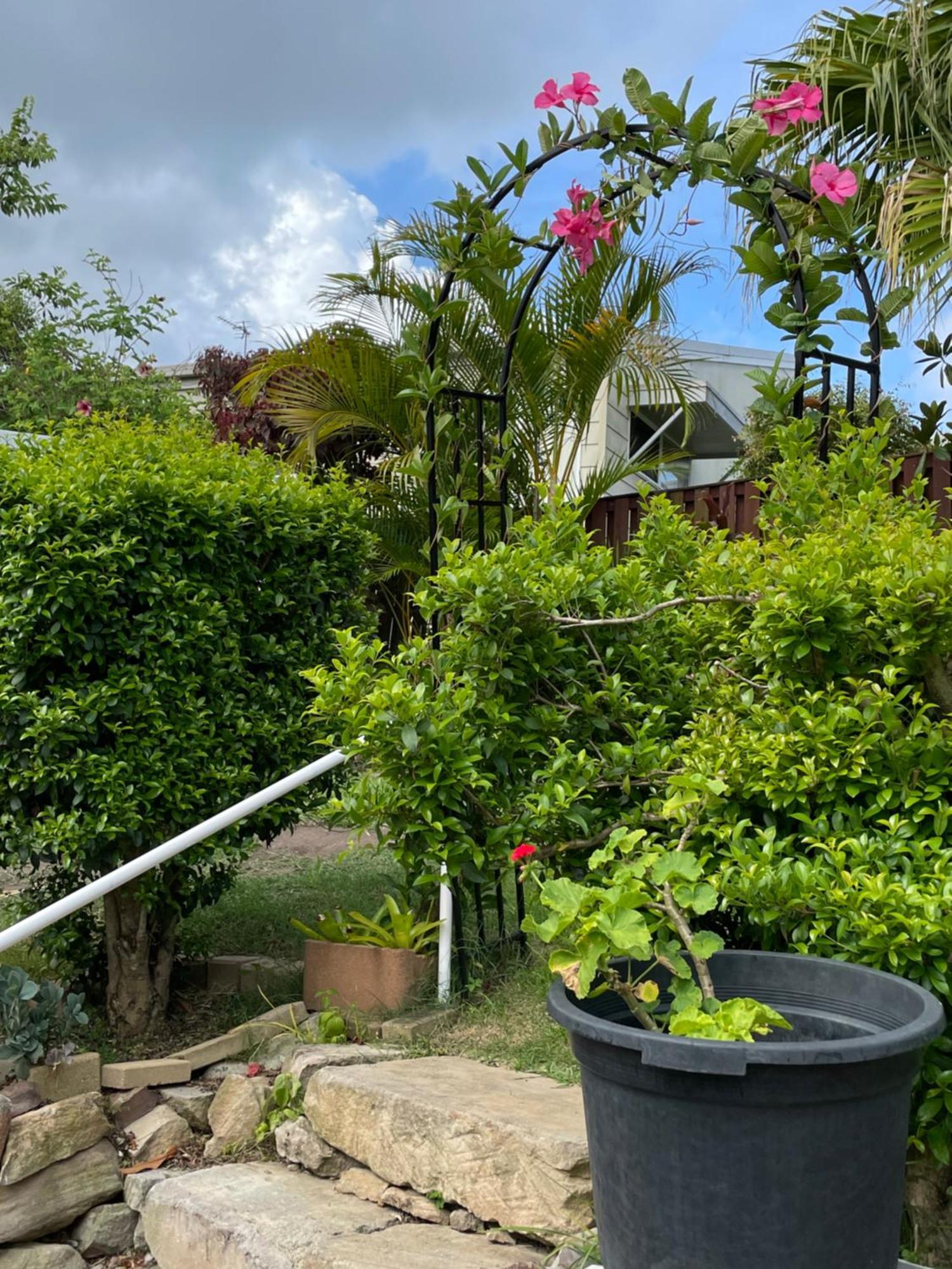 Theme Parks Amituofo Homestay Gold Coast Extérieur photo